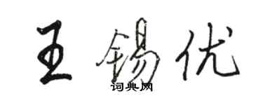駱恆光王錫優行書個性簽名怎么寫