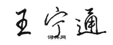 駱恆光王寧通行書個性簽名怎么寫