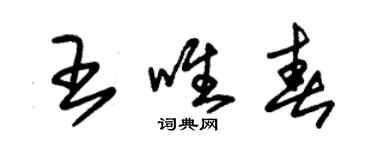 朱錫榮王唯春草書個性簽名怎么寫