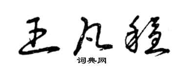 曾慶福王凡穩草書個性簽名怎么寫