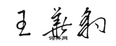 駱恆光王華豹草書個性簽名怎么寫