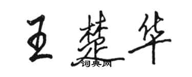 駱恆光王楚華行書個性簽名怎么寫