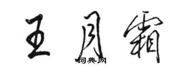 駱恆光王月霜行書個性簽名怎么寫