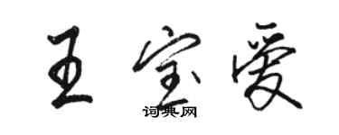 駱恆光王寶愛行書個性簽名怎么寫