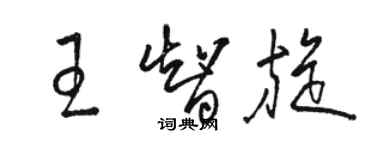 駱恆光王智旋草書個性簽名怎么寫