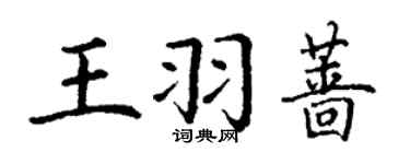 丁謙王羽薔楷書個性簽名怎么寫