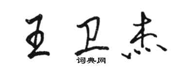 駱恆光王衛傑行書個性簽名怎么寫