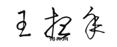 駱恆光王想年草書個性簽名怎么寫