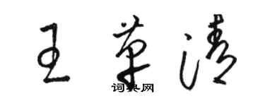 駱恆光王革清草書個性簽名怎么寫