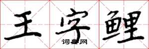 周炳元王字鯉楷書怎么寫