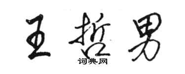 駱恆光王哲男行書個性簽名怎么寫