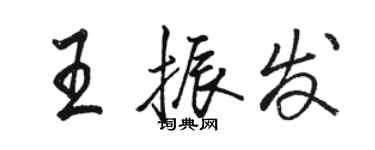 駱恆光王振發行書個性簽名怎么寫