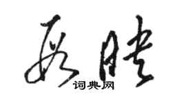 駱恆光段映草書個性簽名怎么寫