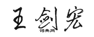 駱恆光王劍宏行書個性簽名怎么寫