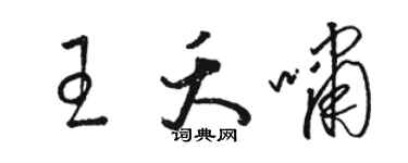 駱恆光王夭嘯草書個性簽名怎么寫
