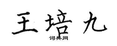 何伯昌王培九楷書個性簽名怎么寫