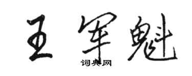 駱恆光王軍魁行書個性簽名怎么寫