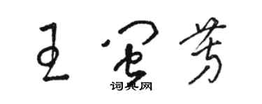 駱恆光王閩芳草書個性簽名怎么寫