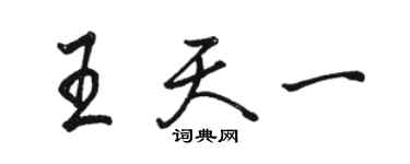 駱恆光王天一行書個性簽名怎么寫