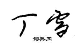 朱錫榮丁雪草書個性簽名怎么寫