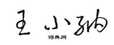 駱恆光王小納草書個性簽名怎么寫