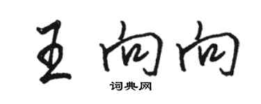 駱恆光王向向行書個性簽名怎么寫