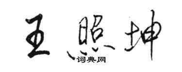 駱恆光王照坤行書個性簽名怎么寫