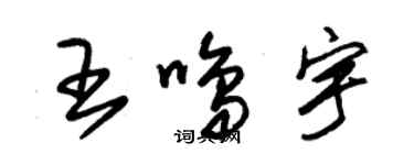 朱錫榮王鳴宇草書個性簽名怎么寫