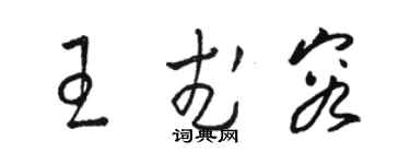 駱恆光王武容草書個性簽名怎么寫