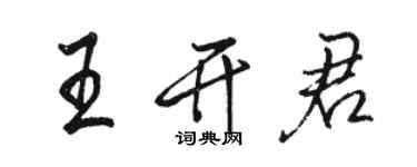 駱恆光王開君行書個性簽名怎么寫