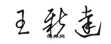 駱恆光王新達草書個性簽名怎么寫