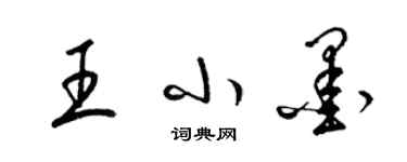 梁錦英王小墨草書個性簽名怎么寫