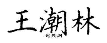 丁謙王潮林楷書個性簽名怎么寫