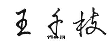 駱恆光王千枝行書個性簽名怎么寫