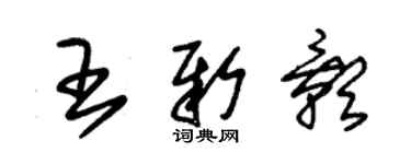 朱錫榮王新影草書個性簽名怎么寫