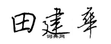 王正良田建華行書個性簽名怎么寫