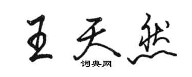 駱恆光王天然行書個性簽名怎么寫