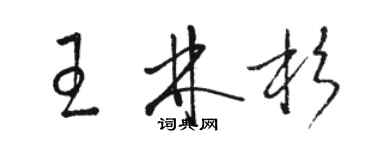 駱恆光王林杉草書個性簽名怎么寫