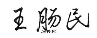 駱恆光王腸民行書個性簽名怎么寫