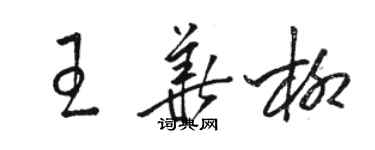 駱恆光王華柳草書個性簽名怎么寫