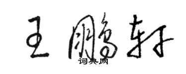 駱恆光王鵬軒草書個性簽名怎么寫