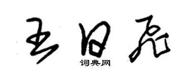 朱錫榮王日飛草書個性簽名怎么寫