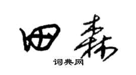朱錫榮田森草書個性簽名怎么寫