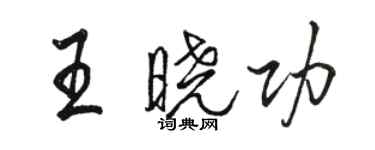 駱恆光王曉功行書個性簽名怎么寫