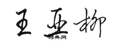 駱恆光王亞柳行書個性簽名怎么寫