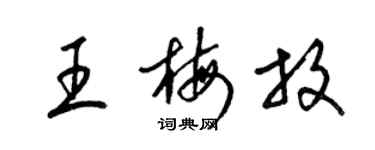 梁錦英王梅放草書個性簽名怎么寫