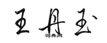 駱恆光王丹玉行書個性簽名怎么寫