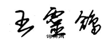 朱錫榮王靈鴿草書個性簽名怎么寫