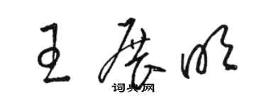 駱恆光王展明草書個性簽名怎么寫