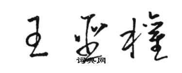 駱恆光王聖權草書個性簽名怎么寫